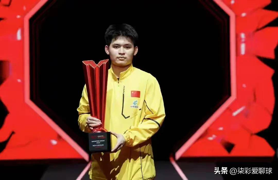 关于瑞典乒乓球队横扫法国乒乓球队，王皓打破历史纪录的信息