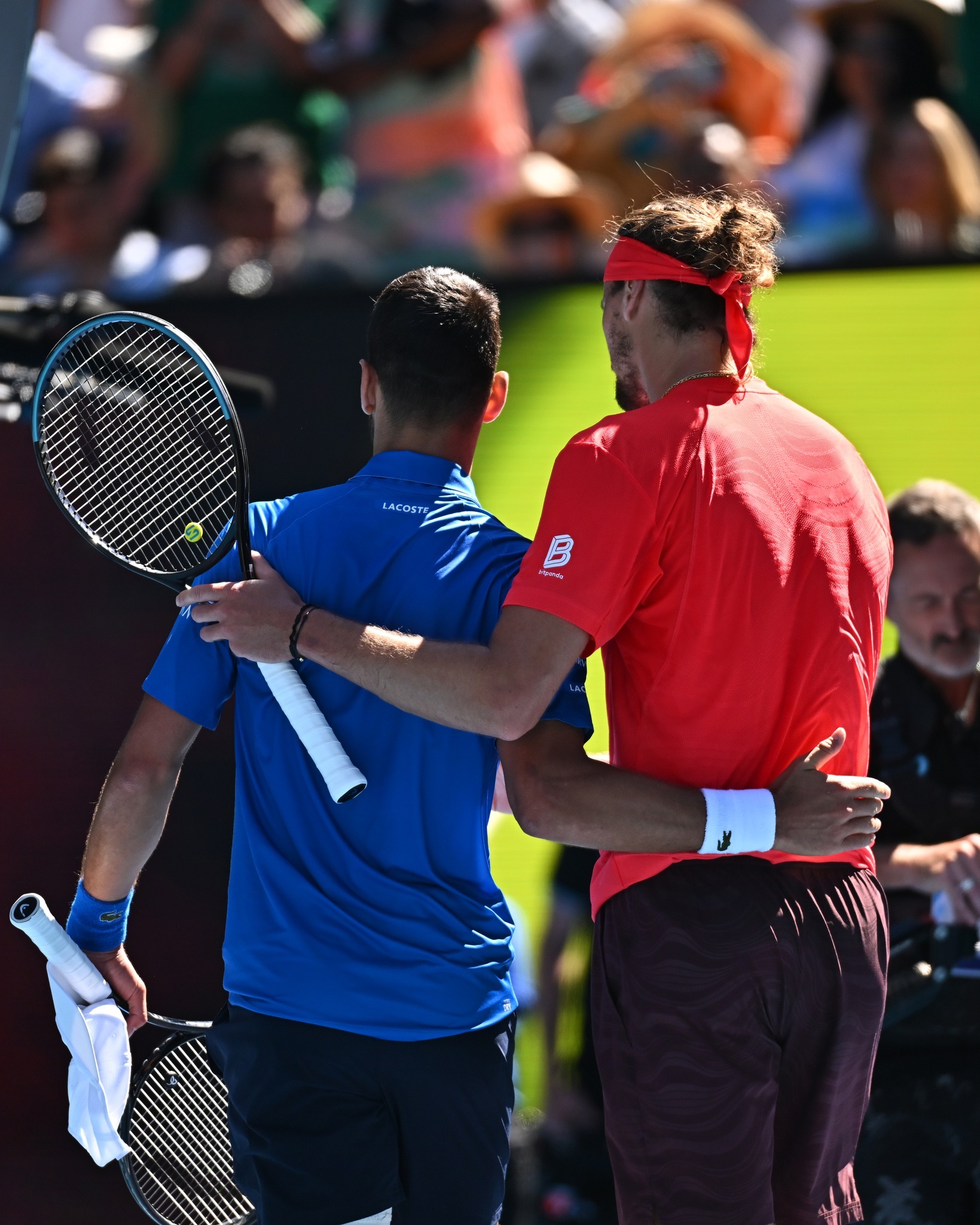 关于拉沃尔杯横扫澳网,德约科维奇点燃赛场的信息 关于拉沃尔杯横扫澳网,德约科维奇点燃赛场的信息