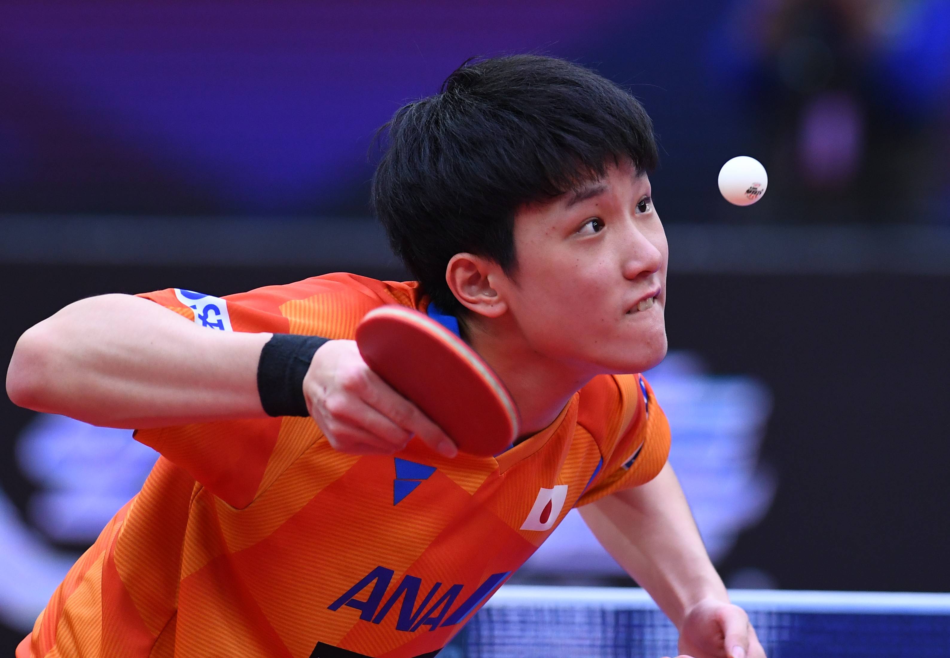 日本队轻取英格兰队,张本智和惊艳四座 日本队轻取英格兰队,张本智和惊艳四座