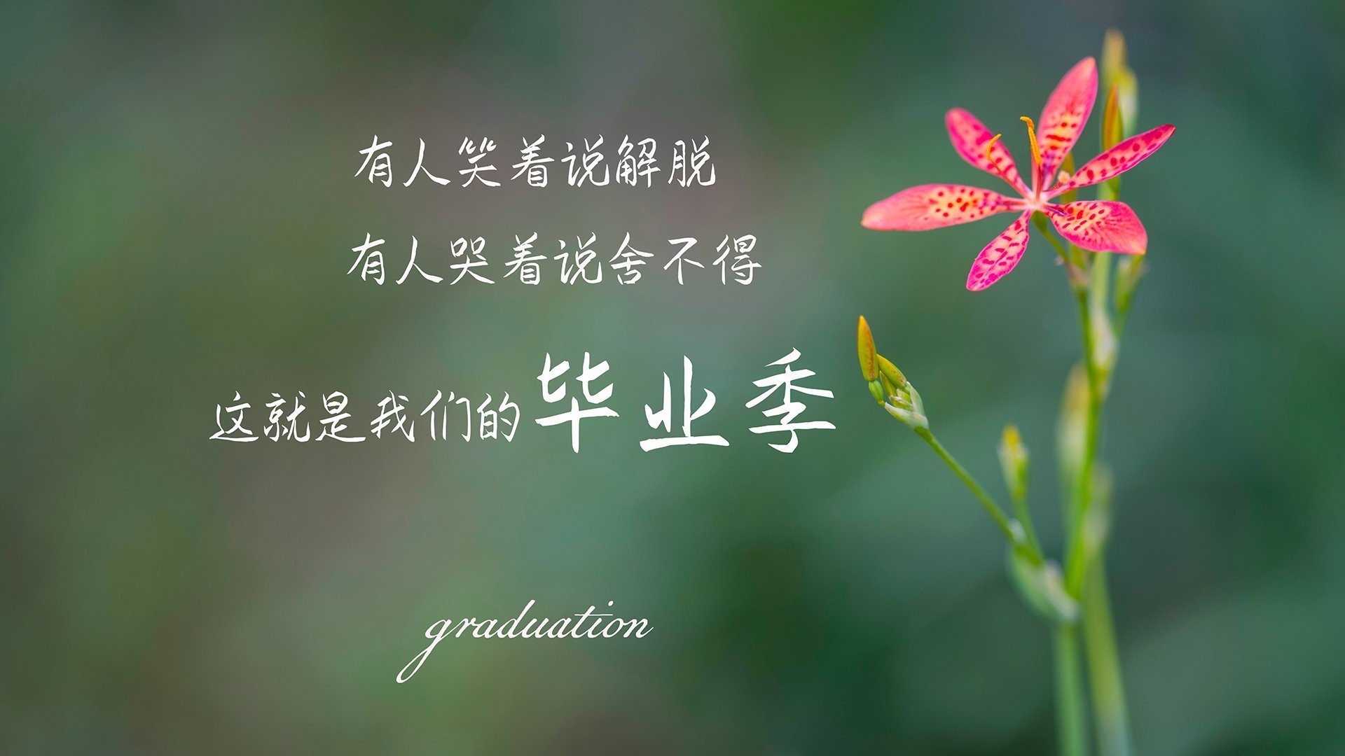 冰川与桑巴，于无声处听惊雷