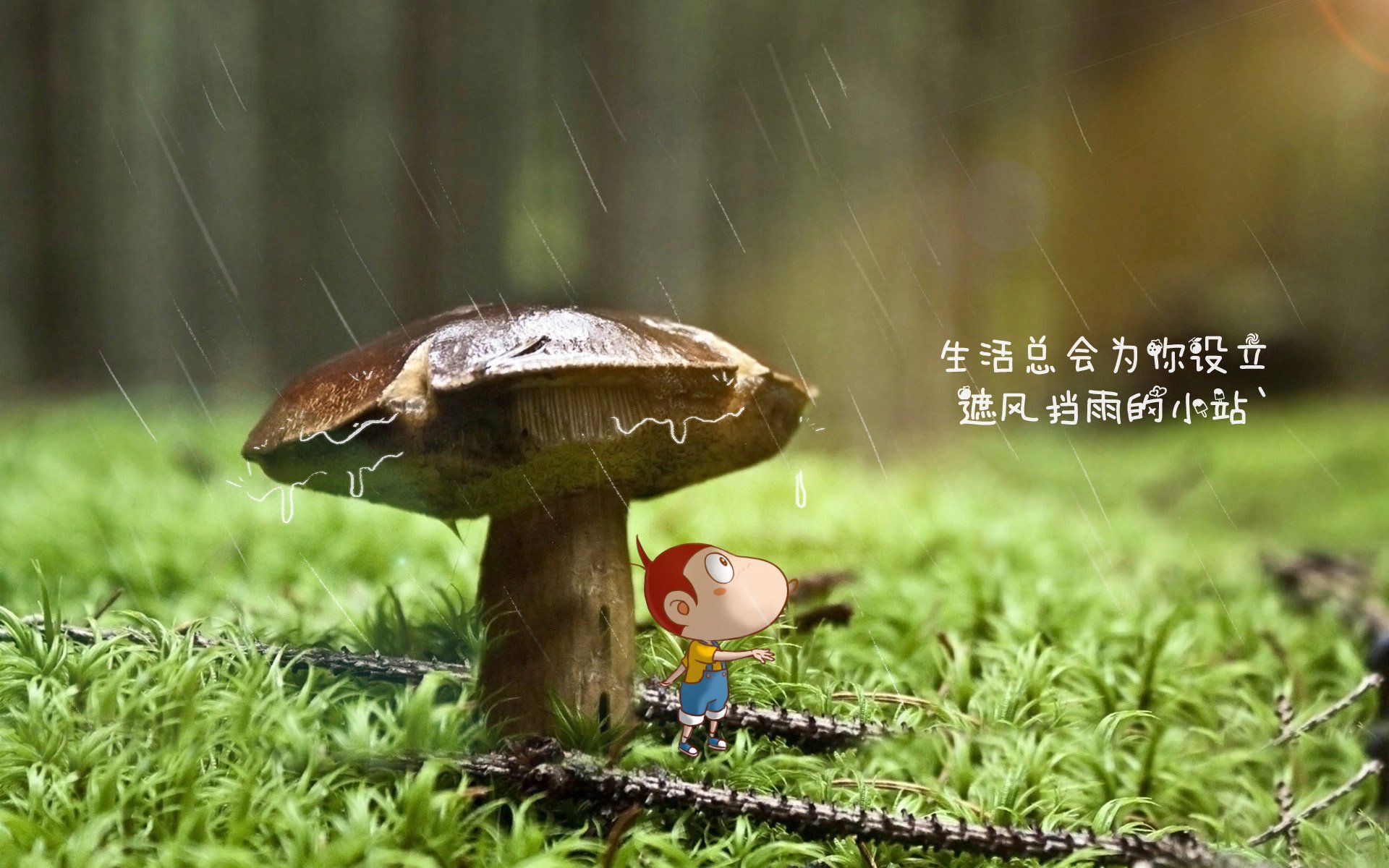 双重爆冷，当F1揭幕战碰撞哥斯达黎加的足球奇迹