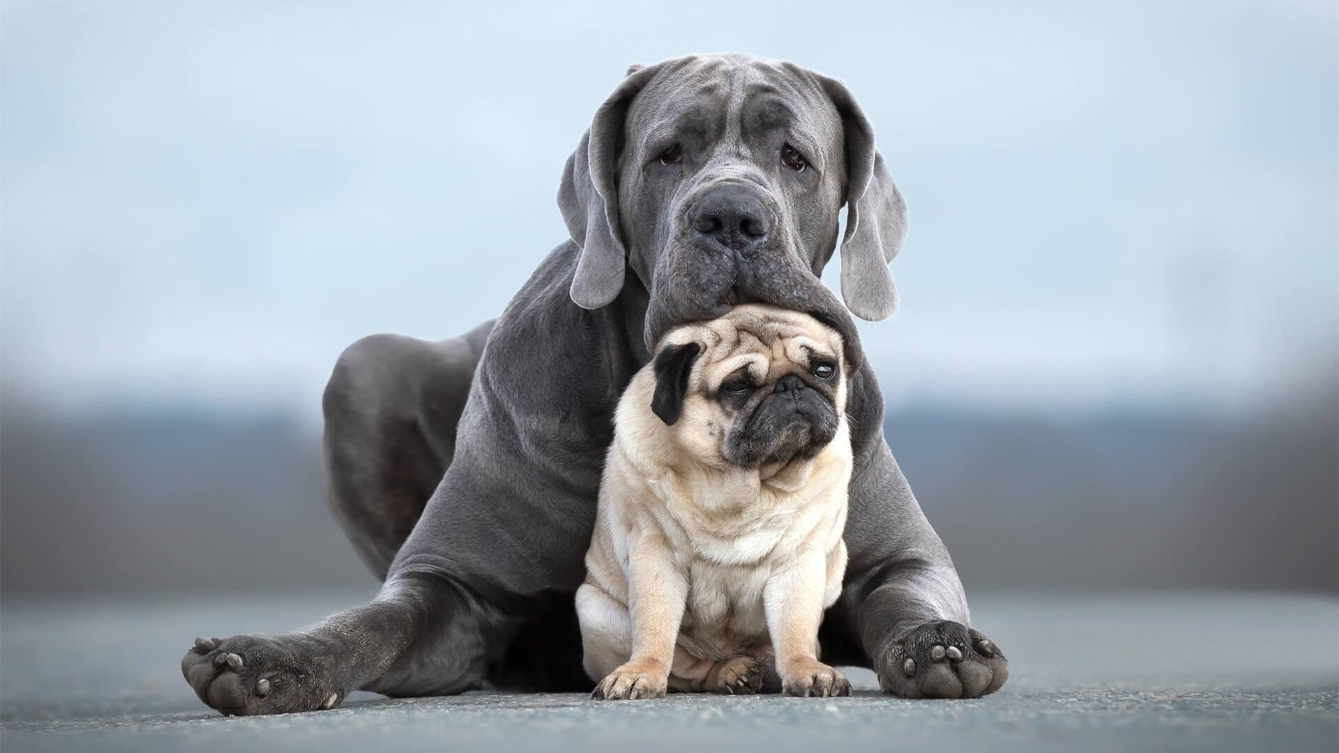 双城记,贝恩的独舞与雷霆的协奏—当接管比赛的两种定义同时上演