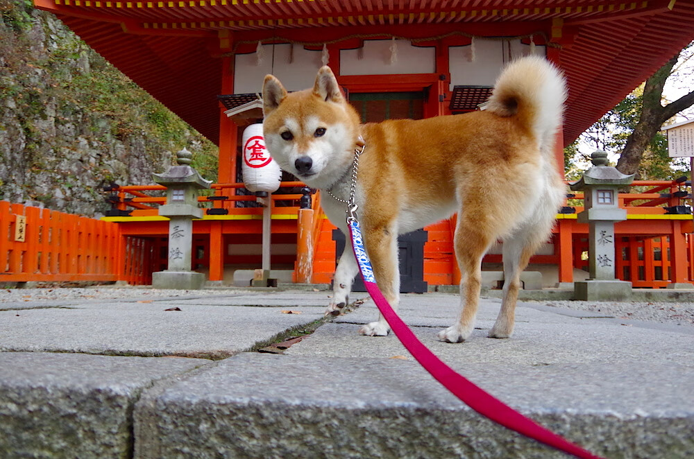 奥纳纳爆发前夜，时空缝隙中，德国如何用连续得分压制了牙买加