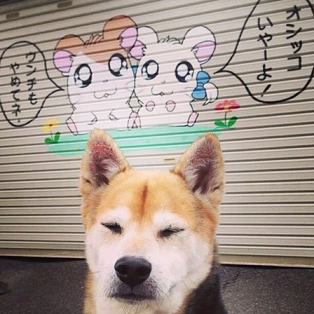 新秩序的交响诗，勒沃库森以努涅斯节奏完成了对德甲王座的优雅夺权