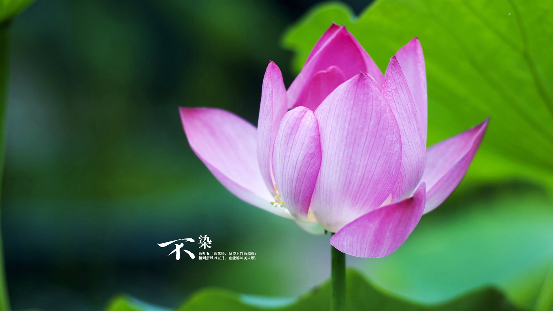 同一天空下，阿劳霍燃动诺坎普，哥斯达黎加震撼基辅