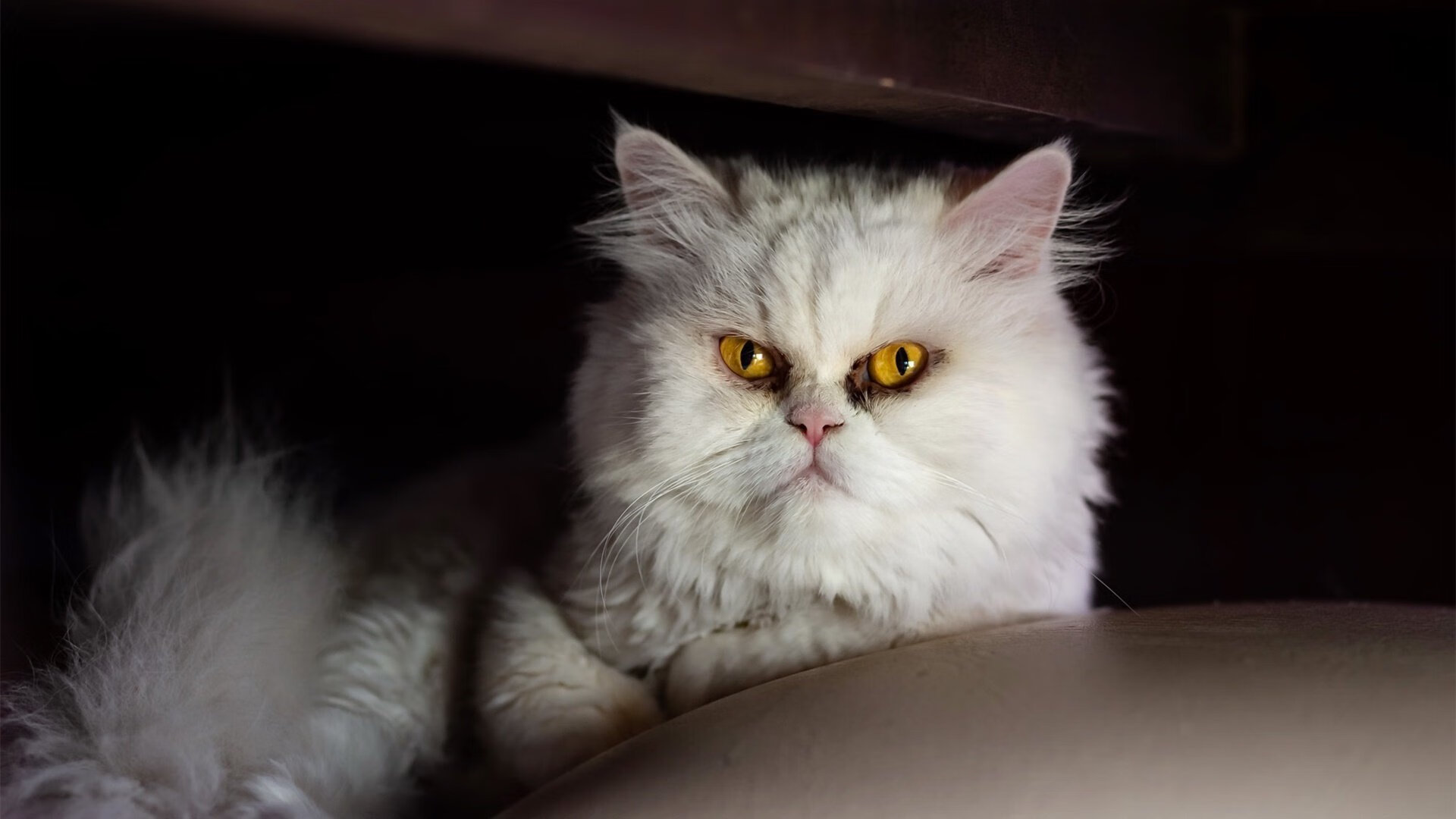 跨界对决！格列兹曼高能输出点燃阿森纳与秘鲁的梦幻之战