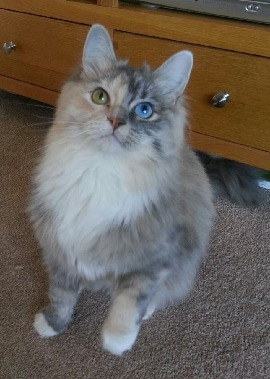 篮球节奏与足球智慧，尼克斯的掌控术如何启示浙江队的世界杯征程