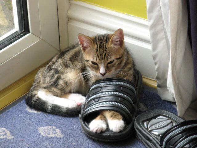 无情压制！德罗赞独舞之夜，上海滩为他寂静