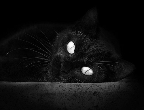 三分钟风暴！马克西独砍15分打崩辽宁，鹈鹕单节上演惊天逆转