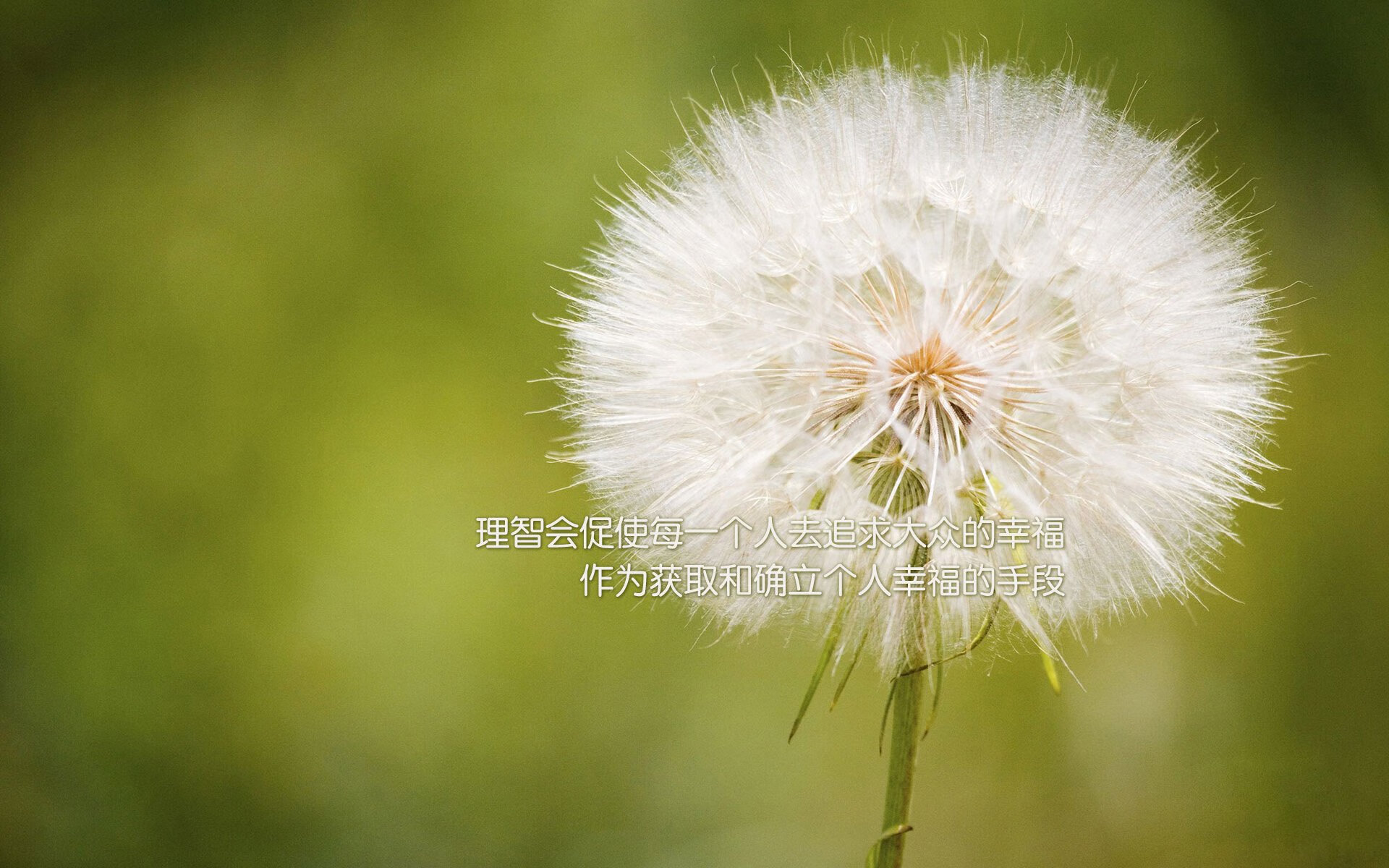 逆转与救赎,2026世界杯E组关键战,葡萄牙绝地反击击败泰国,卢卡库独造三球率队突围
