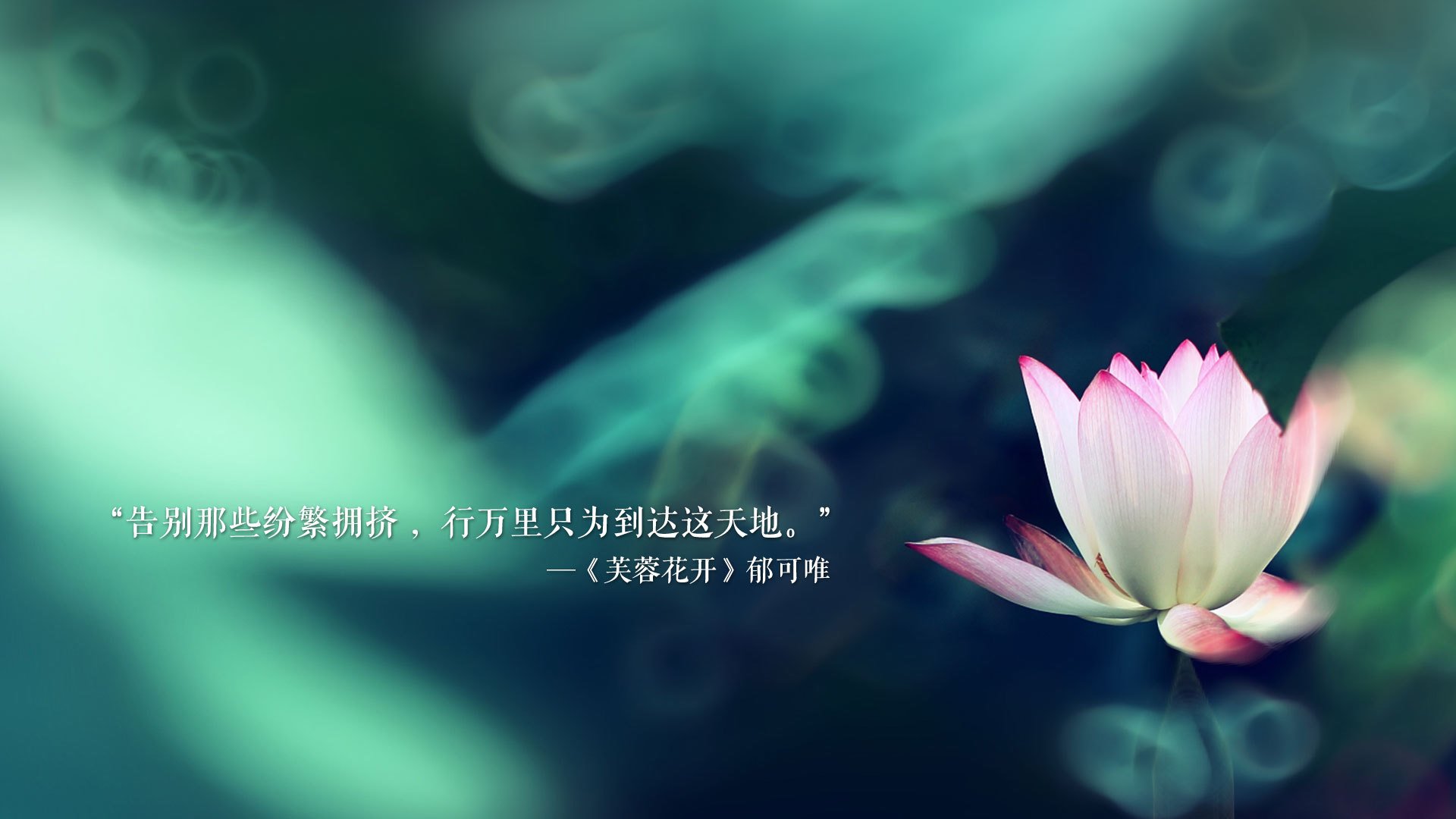 2026世界杯C组风暴,匈牙利横扫日本,哈兰德独造三球成北欧核武器